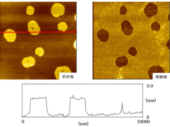 Fig. 4-7c    ODTES / SiOH  表面上に吸着したアミノ変性シリコーンの AFM 観察像（洗浄水 10 mL ， 10×10 µ ｍ
