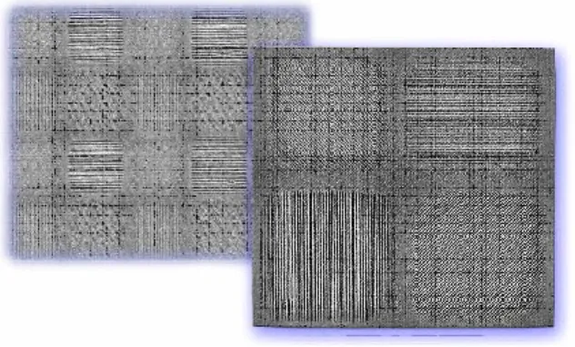 図 2.3  ワイヤーグリッドを用いた偏光素子アレイ 42) . 