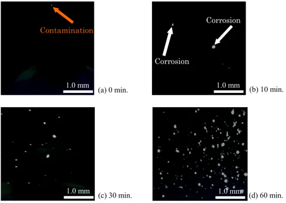 Table 2-5 Correlation of corrosion area ratio and rating number.