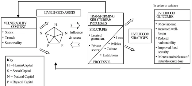 Figure 2. Sustainable livelihood framework (DFID 1999) Influence &amp; access Key H = Human Capital S = Social Capital  N = Natural Capital P = Physical Capital F = Financial Capital LIVELIHOOD ASSETS  LIVELIHOOD STRATEGIES TRANSFORMING STRUCTURES &amp; PR