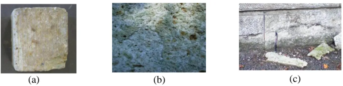 Figure 6 Weathering feature of Oya tuff brick. (a) Colour tone change, (b) Scale-shaped laminar ex-foliation with salt,  (c) plate-shaped laminar ex-foliation