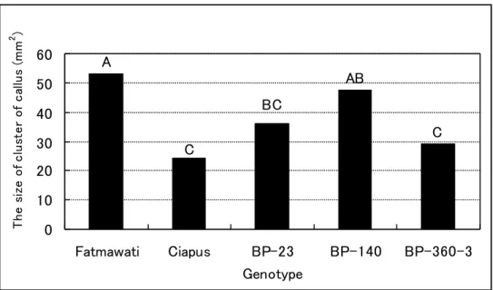 Fig. 2-2-2. Comparison  for genotype on CGC in  the subculture after 21-day culture.  Values with  the  same  alphabet  show no difference by DMRT at the 0.05 probability level