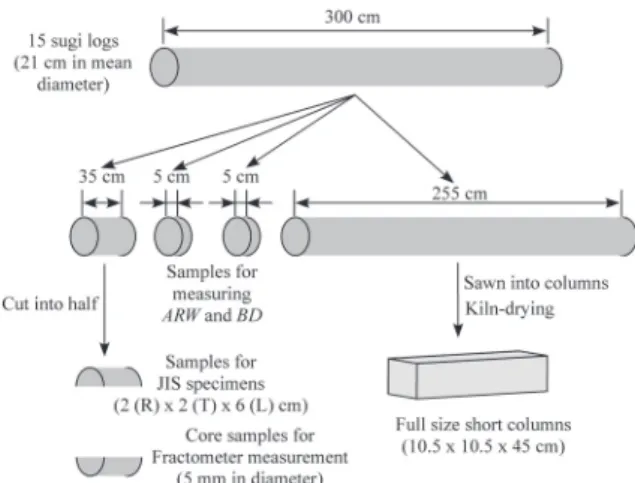 Fig. 1. Illustration of sample preparation.