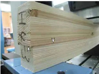 Fig. 3.3  A photograph of shear failure in inner layers.