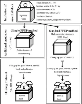 Fig. 3-2.  Changes in the number of fruit body and primordium  during incubation of mycelial blocks.