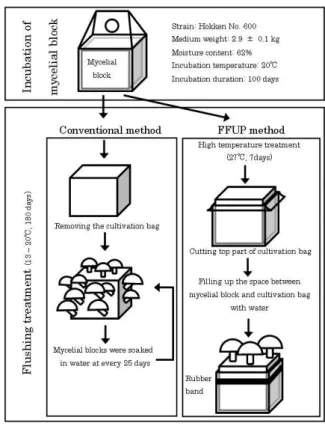 Fig. 2-6.  Schematic  diagram  of  the  flushing  procedure  in  the  conventional and FFUP cultivation methods.