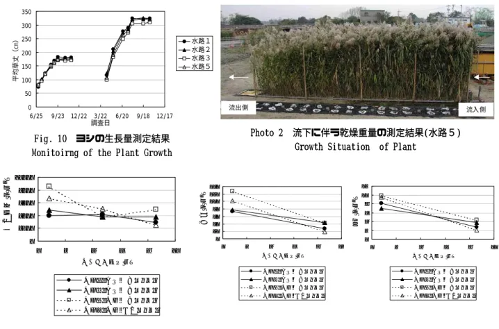 Fig. 11 Fig. 11 流下に伴うヨシ  流下に伴うヨシ1m1m 22 当たりの乾燥質量当たりの乾燥質量 Measurement Result of Dried Plant WeightMeasurement Result of Dried Plant Weight Photo 2 Photo 2   流下に伴う乾燥重量の測定結果 流下に伴う乾燥重量の測定結果( (水路５ 水路５) )Growth Situation
