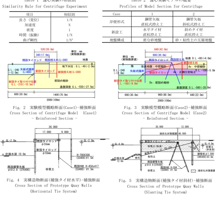 Fig. 3  実験模型概略断面(Case2)-補強断面  Cross Section of Centrifuge Model（Case2） 