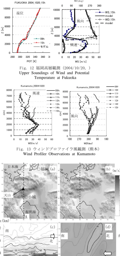 Fig. 14 地上10mの風速((a),(b))および A-A'上の風速南北成 分の鉛直断面 ((c)(d)) 