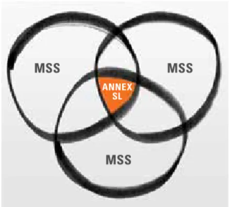 図 1 図 2 MSS MSSMSSANNEX SL「附属書SLとDIS9001」DIS9001は附属書SLの枠組みを用いて、上位構造、中核となるテキスト、共通用語及び主要な定義を採用しています。DIS9001の主要な条項は以下の通りです。1