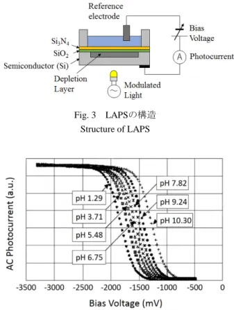 Fig. 5 化学イメージング模式図