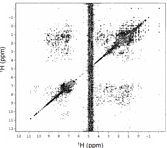 図 2  タンパク質（リゾチーム）の 2 次元 NMR（NOESY）計測結果  2 mM リゾチーム水溶液