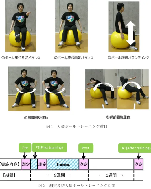 図 1 大型ボールトレーニング種目