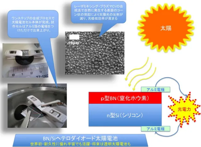 図 1  太陽電池に用いられる p 型 BN/n 型 Si ヘテロダイオードの概念図 