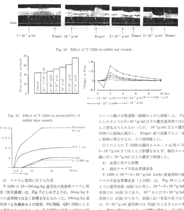 Fig.  11  Effect  of  T-1220  on  permeability  of  rabbit  skin  vessels