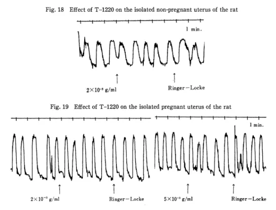 Fig.  19  Effect  of  T-1220  on  the  isolated  pregnant  uterus  of  the  rat