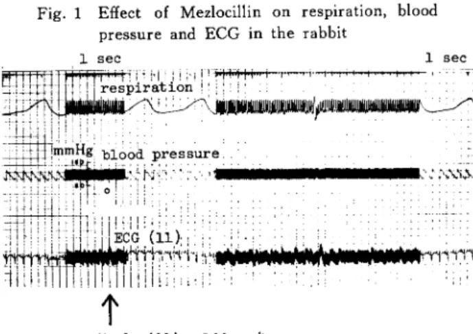 Fig.  1  Effect  of   Mezlocillin  on  respiration,  blood  pressure  and  ECG  in  the  rabbit
