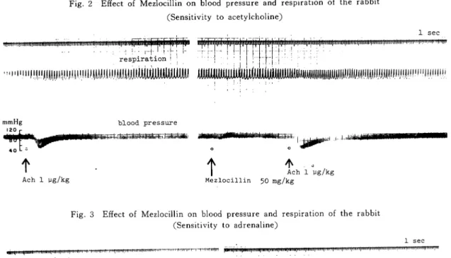 Fig.  2  Effect  of  Mezlocillin  on  blood  pressure  and  respiration  of  the  rabbit (Sensitivity  to  acetylcholine)