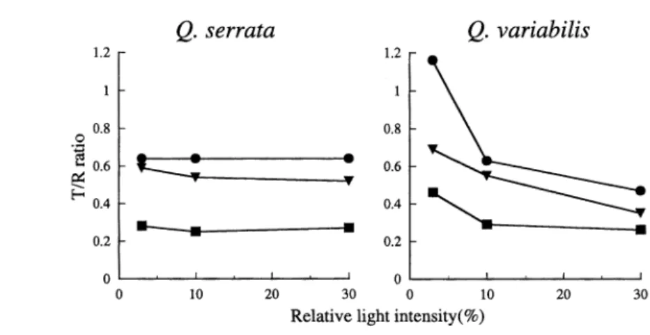 Fig.  4  Effects  of  light  and  soil  moisture  condition  on  the  rate  (RWL)  of  the  dry  weight  of  leaves