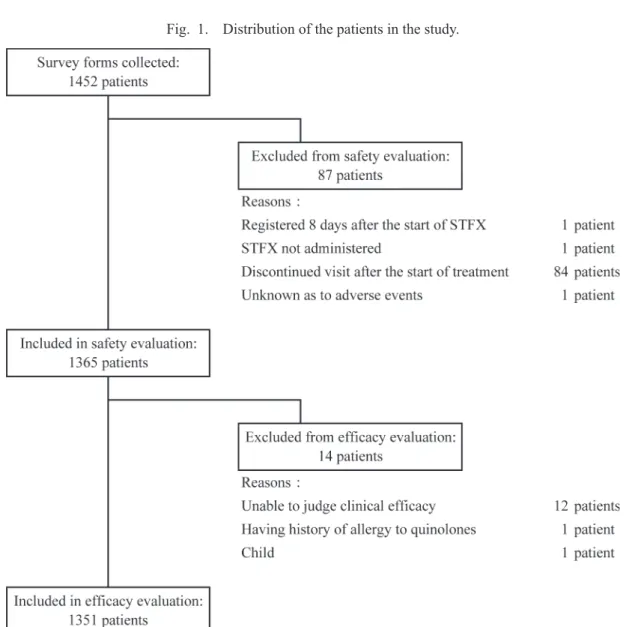 Fig.  1.  Distribution of the patients in the study.