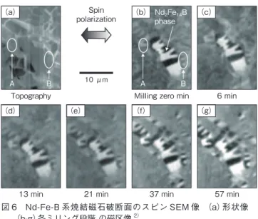 図 6  Nd-Fe-B 系焼結磁石破断面のスピン SEM 像 （a）形状像 