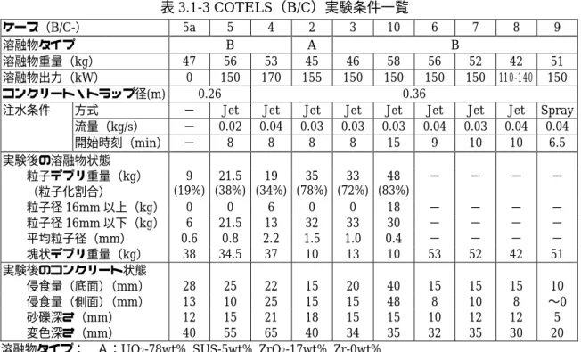 図 3.1-14 COTELS（B/C）実験装置 