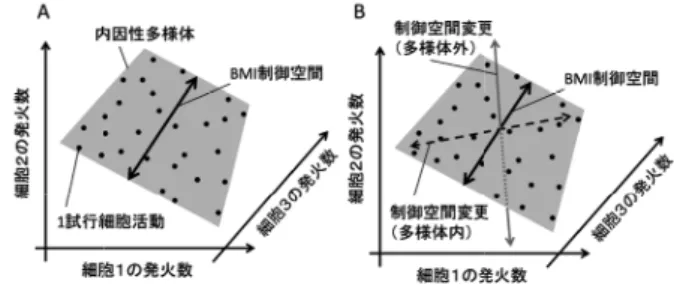 図 3  内因性多様体と BMI 制御空間への適応（概念図）  A.  同時記録された 3 個の細胞の発火数の分布．各点は一つ の試行での状態を示す．細胞間の発火数相関のために細胞 活動は相空間内で内因性多様体上に限定されている．図の 例では，BMI 制御空間として一次元軸を取り，この軸上の 位置に応じてカーソル運動を制御する．B