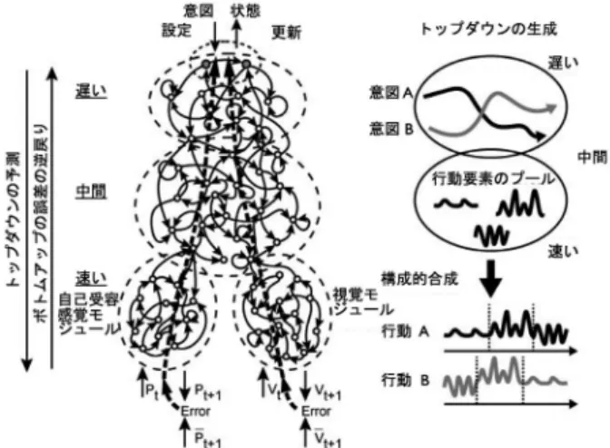 図 6  MTRNN による多層ネットワーク構造を利用した行動系列