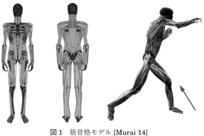 図 1　筋骨格モデル [Murai 14]
