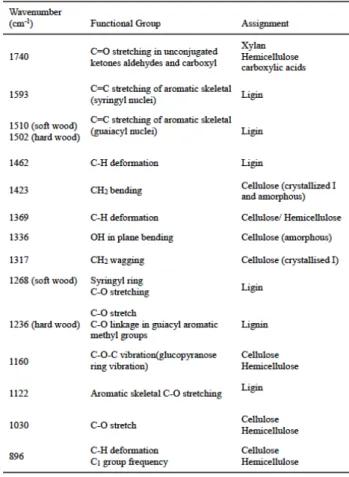 Fig. 1 Investigation points of the removed Nageshi 