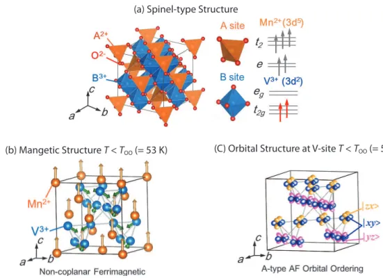 Figure 1.    (a) Crystal structure of spinel-type oxide MnV 2 O 4 . Each A-site ion is surrounded by an oxygen tetrahedron