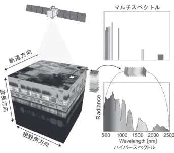 図 1　ハイパースペクトル画像