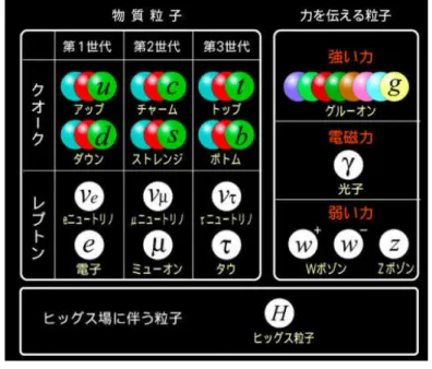 図 1.1 標準模型の粒子 [1] 。