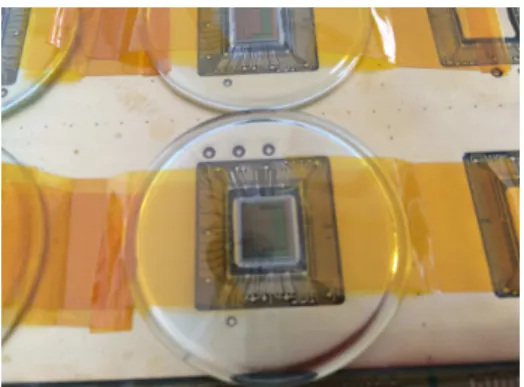 図 3.6 Chip On Board 実装型ボード。