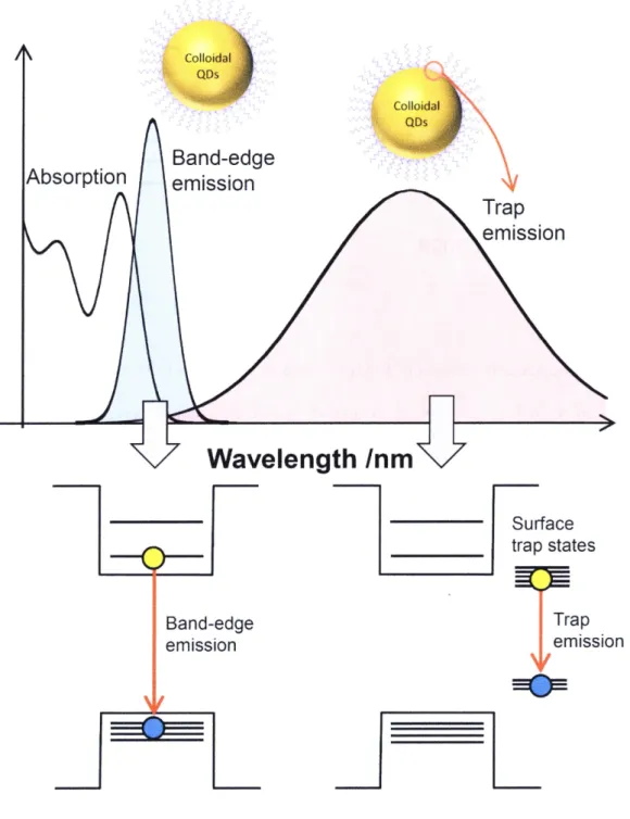 Figure 1.2 Steady-state absorption spectrum of semiconductor QDs and their emission spectra from the band-edge and surface trap states.