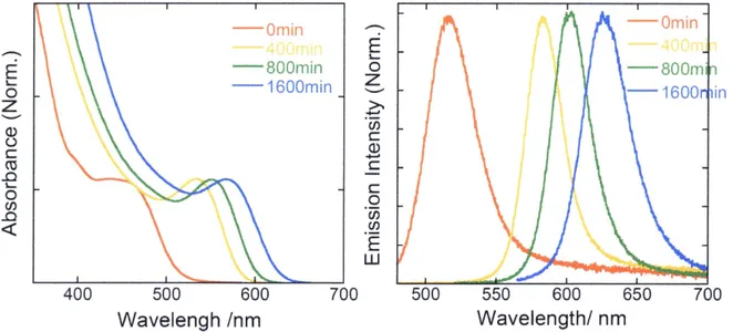 Figure 2.4 Steady-state absorption and emission spectra ofTGA capped CdTe QDs.