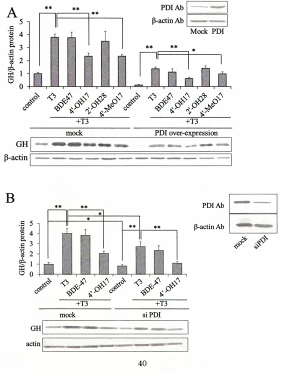 Fig.  1-2-5  Effects ofPBDEs on GH expression in GH3 cells. 