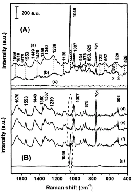 Figure 1. (A)(a) A SERS spectrum ofa dry film of the solution
