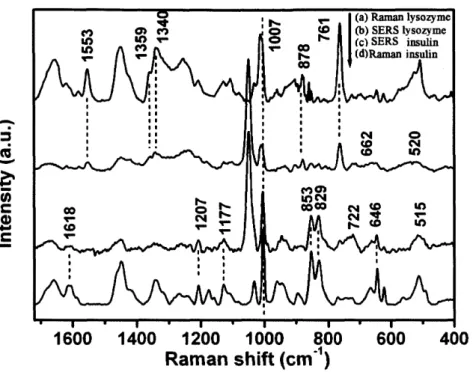 Figure 2. Normal Raman spectra of solid (a) lysozyme and (d) insulin;