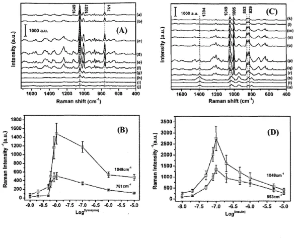 Figure 3. (A) Concentration-dependent (10-5-10-9 M) SERS spectra of lysozyme (a) 1Å~10-5 M (b) 1Å~10'6 M (c) 1Å~10-7 M (d) 1Å~1O-8 M (e) 8Å~lo'9 M (D 6Å~lo-9 M (g) 4Å~lo-9 M (h) 2Å~lo-9 M (i) 1Å~lo-9 M g) 1Å~lo"O M; (B) Raman intensity at 1049 (N03- ba