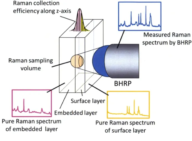 Figure 4. Raman sampling volume ofBHRP in layered sample.