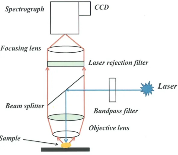 Figure 3: Schematic diagram of Raman system. 