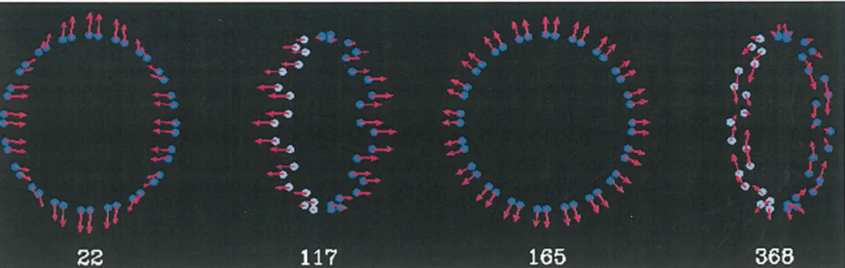Figure  5a:  RBM eigenvectors  and  frequencies  of SWCNTs.  The red  arrows  indicate  the magnitude and direction of the appropriate C-atom displacements