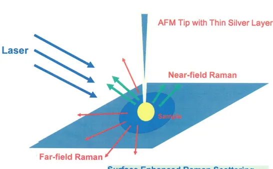 Figure 6b:  The setting drawing of  TERS. 