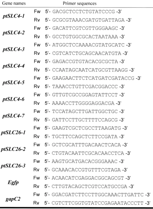 Table 2-3 The list of sets of primers used for  semi-quantitative and quantitative RT-PCRs 