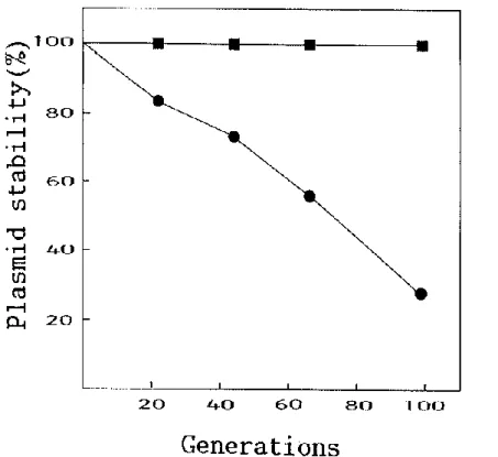 FIG. 1. Stability of plasmid pSC101trpI15-14 during cell growth. Phenotype of the plasmid  is Tc r , Trp+