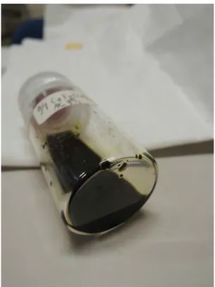 Figure 4. Single crystals of (Bu 4 N) 2 [Fe(obpcz)(CN) 2 ]. 