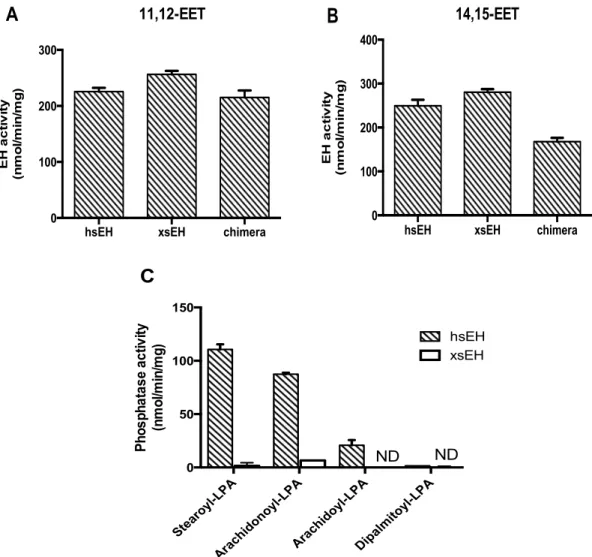 Fig.    I-­‐3    EH    activities    of    Xenopus,    human    and    chimera    toward    11,12-­‐EET,    14,15-­‐EET   