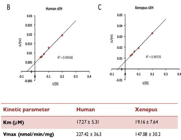 Fig.   I-­‐5   Inhibition   of   EH   activity   by   DCU   and   kinetic   analysis   of   EH   activity