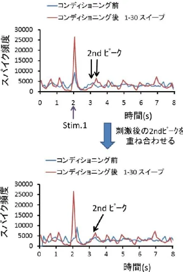 図 4.23 コンディショニング前の 30 試行のデータとコンディショニング後の第 1 番 目の区分の 30 試行のデータを，刺激後に表れる 2nd ピークと周辺のネット ワークスパイクの傾向を解析した． 